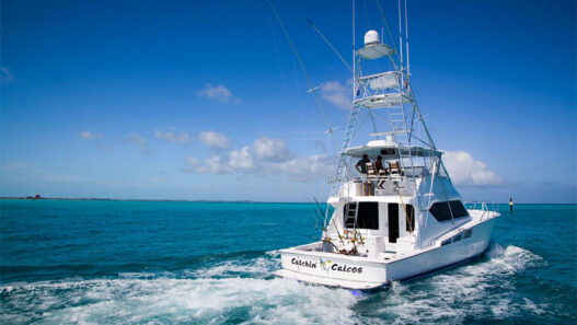 The Art of the Catch: What Sportfishing Teaches Us About Patience and Power