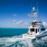 The Art of the Catch: What Sportfishing Teaches Us About Patience and Power