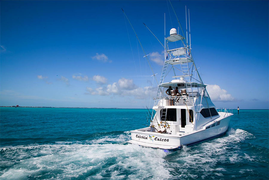 The Art of the Catch: What Sportfishing Teaches Us About Patience and Power